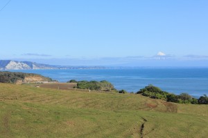 Taupo - Mt Egmont-017